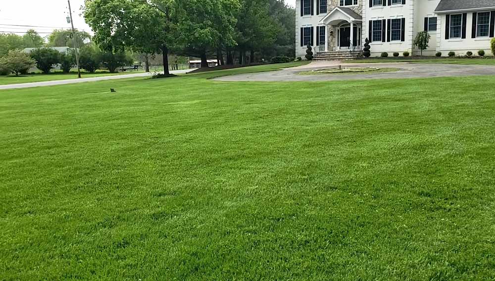 South Jersey Lawns | Burlington County NJ Lawn Fertilizing & Weed Control