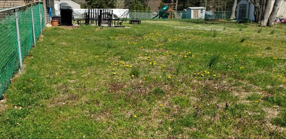 South Jersey Lawns | Burlington County NJ Lawn Fertilizing & Weed Control